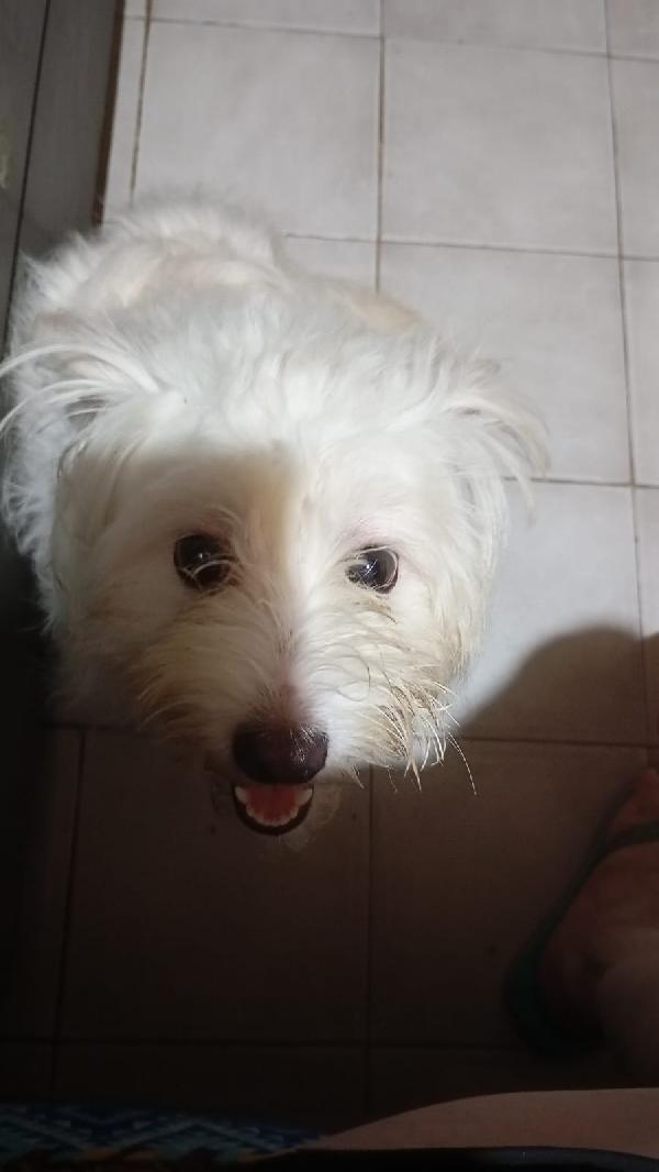 LUNA Foto 5